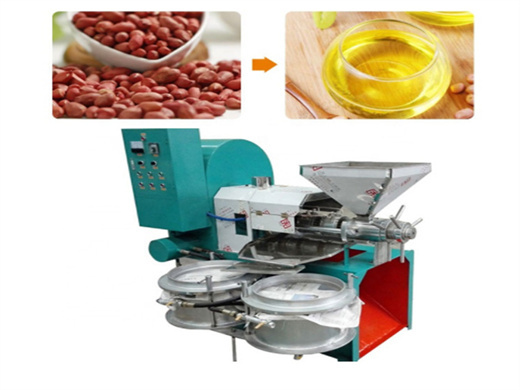 china 6yl-130r professional rice bran oil press production line