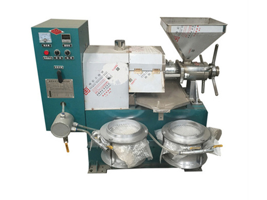 factory price large cold oil extraction machine in Pakistan