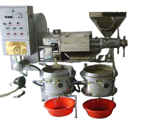 automatic 6yz series groundnut seeds oil press flaxseed in zimbabwe