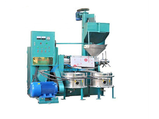 large cold pressed peanuts oil mill peanut oil machine in niger