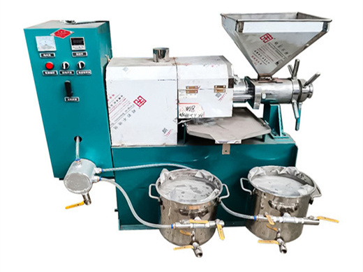 best selling peanut oil press machine oil mill for sale in South Africa