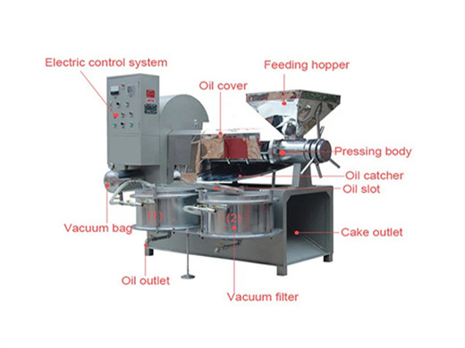 ethiopia high oil yield automatic vegetable press in India