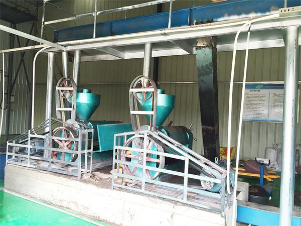 how much can invest a fully automatic peanut oil production plant
