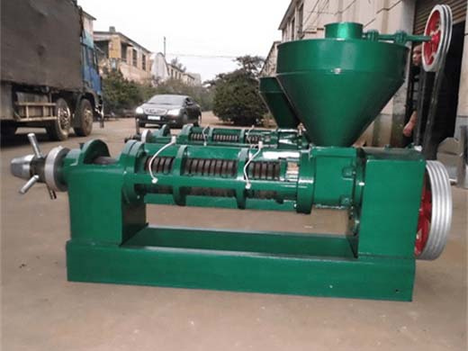 big hydraulic oil press production line machine in Malawi