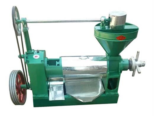 yzyx90 automatic peanut oil making machine to make in Rwanda