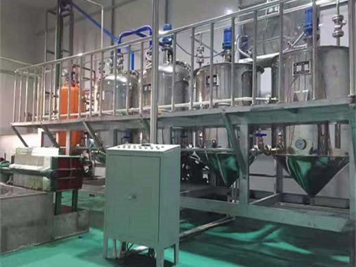 high quality big hydraulic palm fruit oil press production line